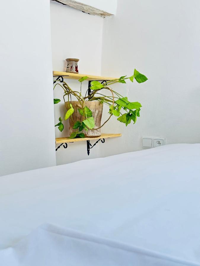 Ocean View House Apartment